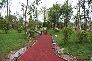 �v�_ӭ�e��������(xi��ng)Ŀ