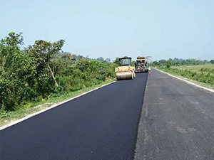 ������֧�������ڹ�·����